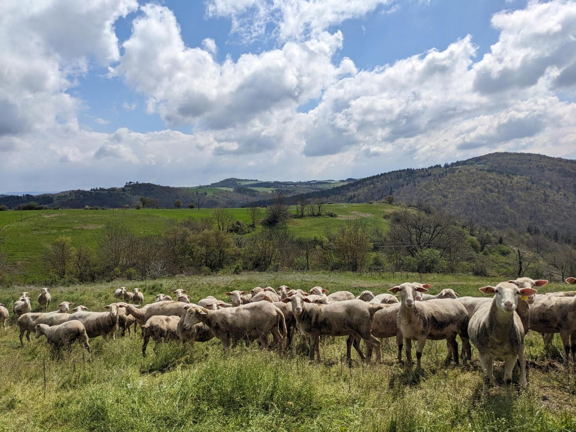La Grange, Le Hameau Des Volcans - Deconnexion Face A La Vue Saint-Just-pres-Brioude ภายนอก รูปภาพ